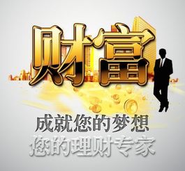 布魯?shù)卤本┩顿Y管理有限責(zé)任公司的投資記錄與咨詢(xún)服務(wù)分析